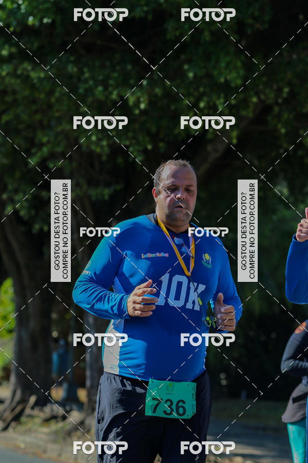 Buy your photos of the event7� Corrida APAE  - Po�os de Caldas - MG on Fotop