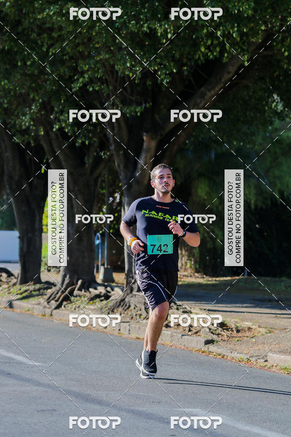 Buy your photos of the event7� Corrida APAE  - Po�os de Caldas - MG on Fotop