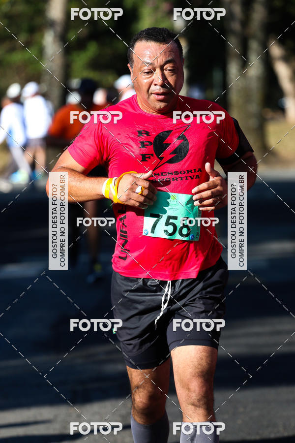 Buy your photos of the event7� Corrida APAE  - Po�os de Caldas - MG on Fotop