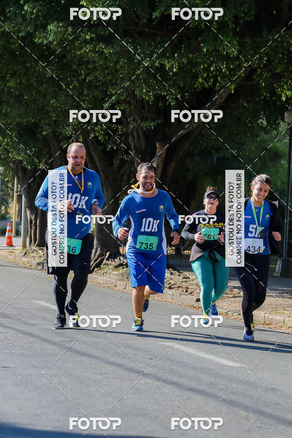 Buy your photos of the event7� Corrida APAE  - Po�os de Caldas - MG on Fotop