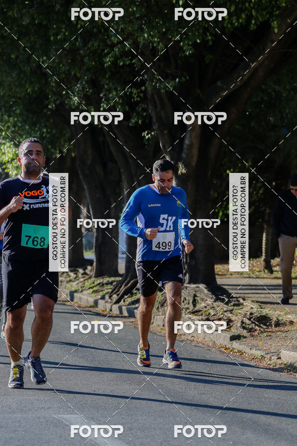 Buy your photos of the event7� Corrida APAE  - Po�os de Caldas - MG on Fotop