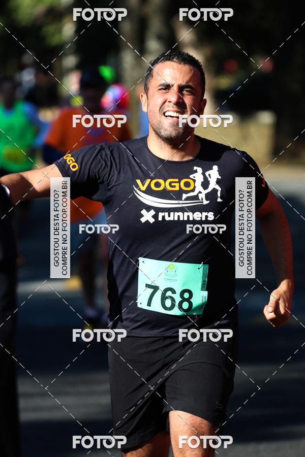 Buy your photos of the event7� Corrida APAE  - Po�os de Caldas - MG on Fotop