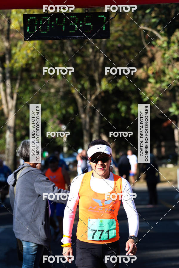 Buy your photos of the event7� Corrida APAE  - Po�os de Caldas - MG on Fotop
