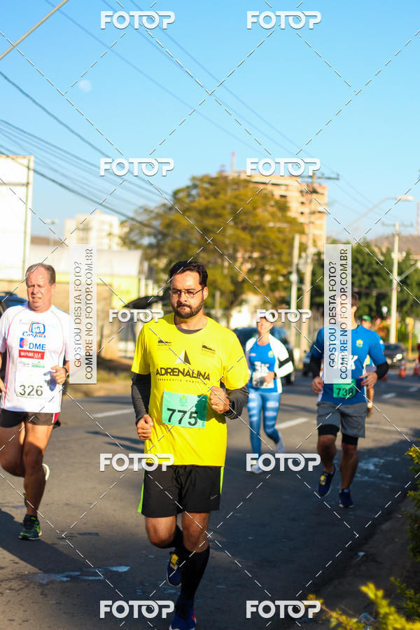 Buy your photos of the event7� Corrida APAE  - Po�os de Caldas - MG on Fotop