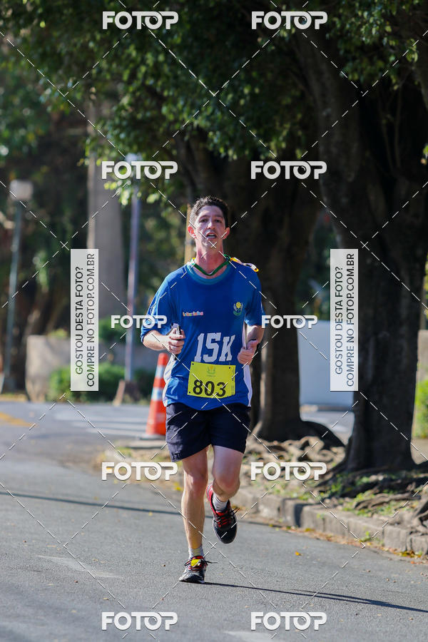 Buy your photos of the event7� Corrida APAE  - Po�os de Caldas - MG on Fotop