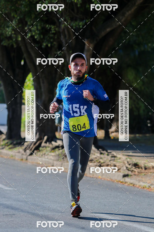 Buy your photos of the event7� Corrida APAE  - Po�os de Caldas - MG on Fotop