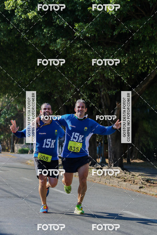 Buy your photos of the event7� Corrida APAE  - Po�os de Caldas - MG on Fotop