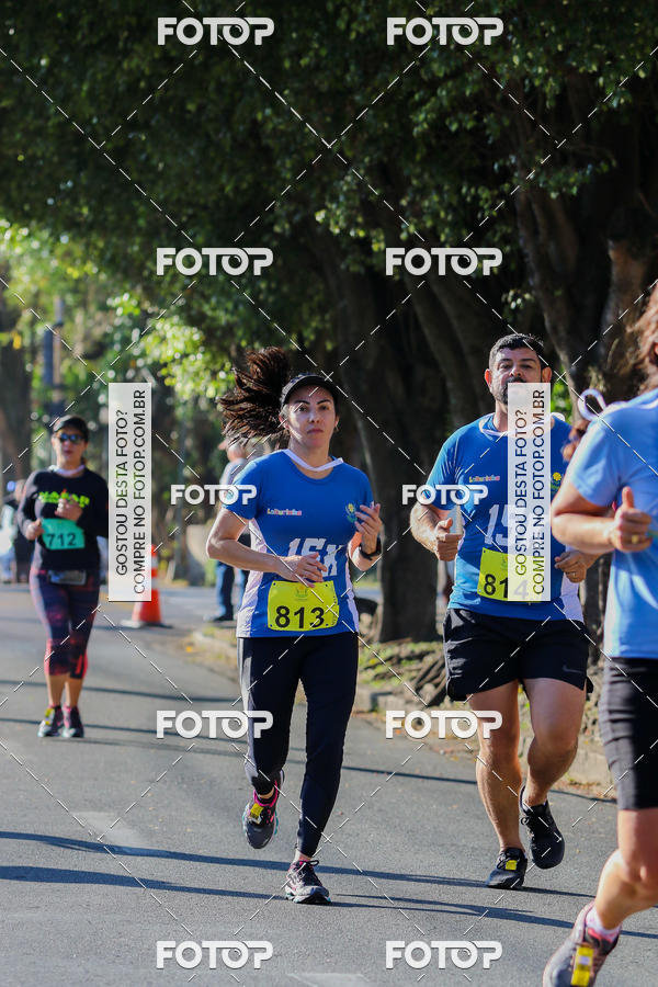 Buy your photos of the event7� Corrida APAE  - Po�os de Caldas - MG on Fotop