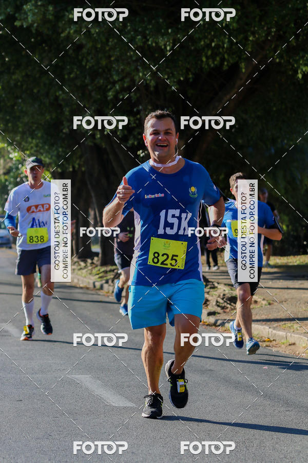 Buy your photos of the event7� Corrida APAE  - Po�os de Caldas - MG on Fotop