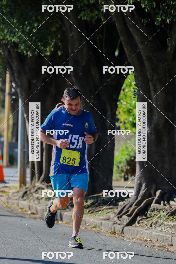 Buy your photos of the event7� Corrida APAE  - Po�os de Caldas - MG on Fotop