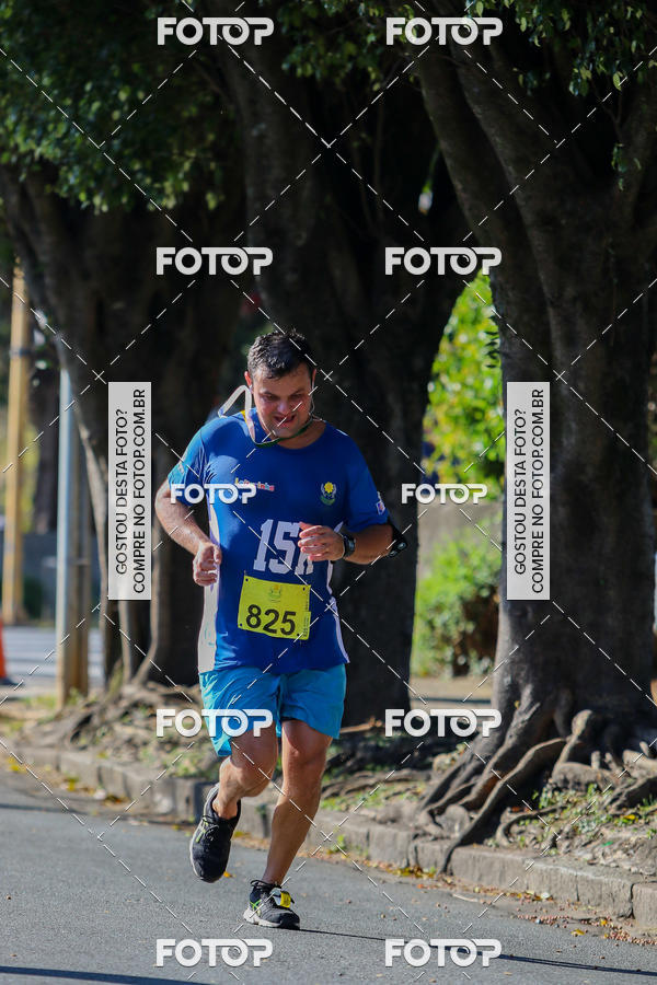 Buy your photos of the event7� Corrida APAE  - Po�os de Caldas - MG on Fotop