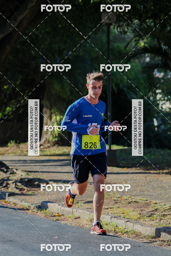 Buy your photos of the event7� Corrida APAE  - Po�os de Caldas - MG on Fotop
