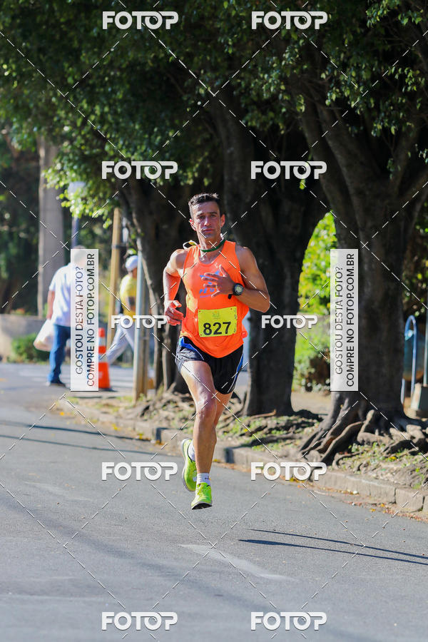 Buy your photos of the event7� Corrida APAE  - Po�os de Caldas - MG on Fotop