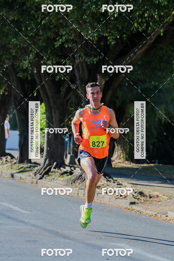 Buy your photos of the event7� Corrida APAE  - Po�os de Caldas - MG on Fotop