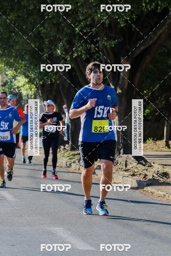 Buy your photos of the event7� Corrida APAE  - Po�os de Caldas - MG on Fotop