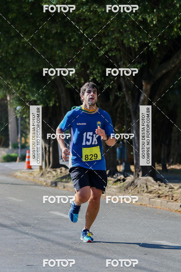 Buy your photos of the event7� Corrida APAE  - Po�os de Caldas - MG on Fotop