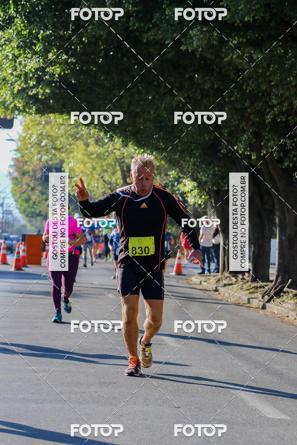 Buy your photos of the event7� Corrida APAE  - Po�os de Caldas - MG on Fotop