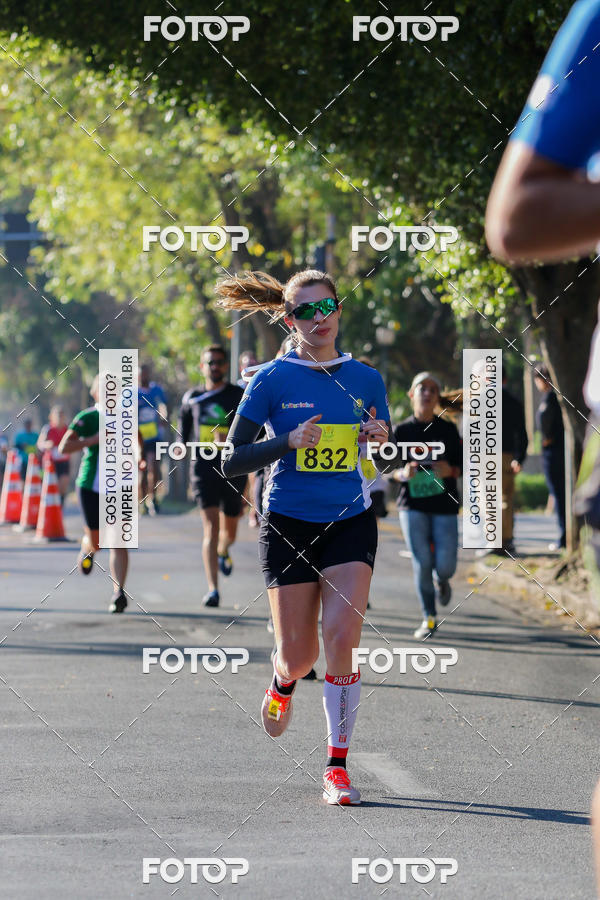 Buy your photos of the event7� Corrida APAE  - Po�os de Caldas - MG on Fotop