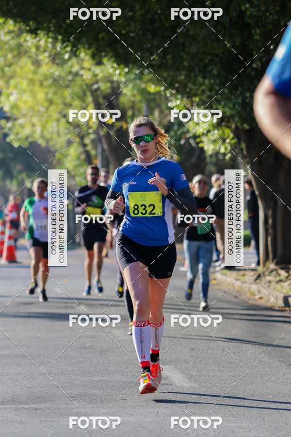 Buy your photos of the event7� Corrida APAE  - Po�os de Caldas - MG on Fotop