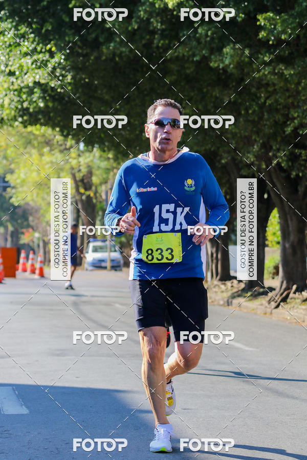 Buy your photos of the event7� Corrida APAE  - Po�os de Caldas - MG on Fotop