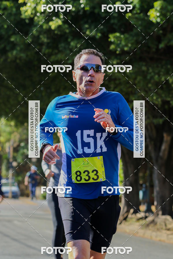 Buy your photos of the event7� Corrida APAE  - Po�os de Caldas - MG on Fotop