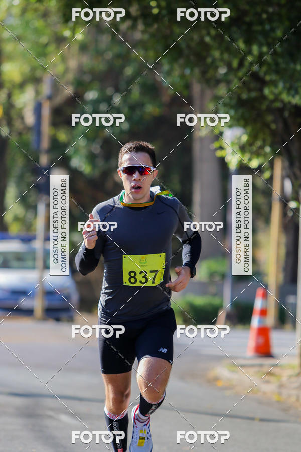 Buy your photos of the event7� Corrida APAE  - Po�os de Caldas - MG on Fotop