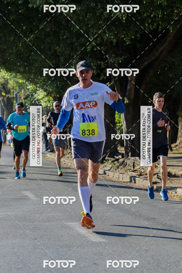 Buy your photos of the event7� Corrida APAE  - Po�os de Caldas - MG on Fotop