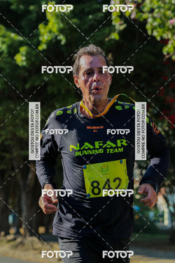 Buy your photos of the event7� Corrida APAE  - Po�os de Caldas - MG on Fotop