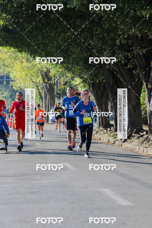Buy your photos of the event7� Corrida APAE  - Po�os de Caldas - MG on Fotop