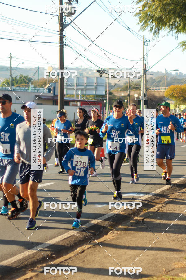 Buy your photos of the event7� Corrida APAE  - Po�os de Caldas - MG on Fotop