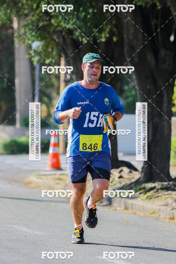 Buy your photos of the event7� Corrida APAE  - Po�os de Caldas - MG on Fotop