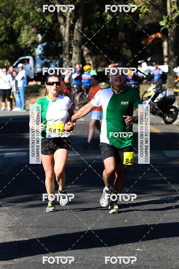 Buy your photos of the event7� Corrida APAE  - Po�os de Caldas - MG on Fotop
