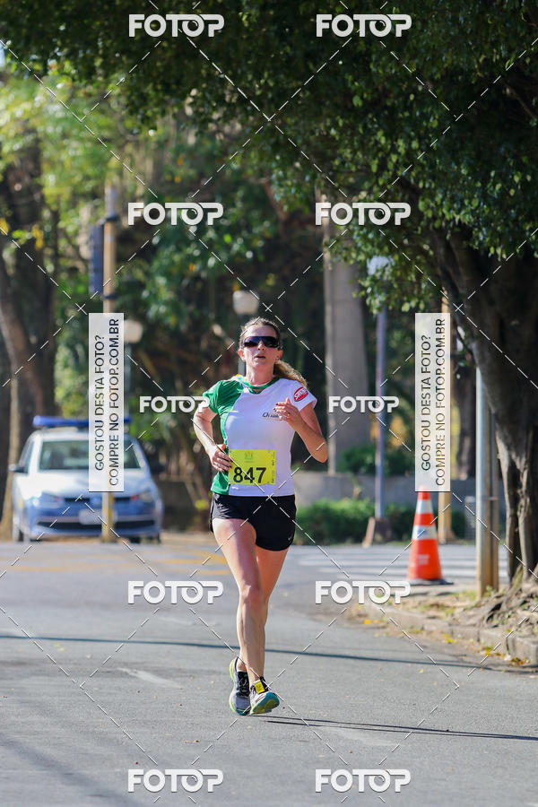 Buy your photos of the event7� Corrida APAE  - Po�os de Caldas - MG on Fotop