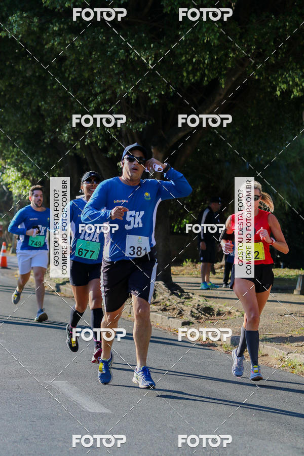 Buy your photos of the event7� Corrida APAE  - Po�os de Caldas - MG on Fotop