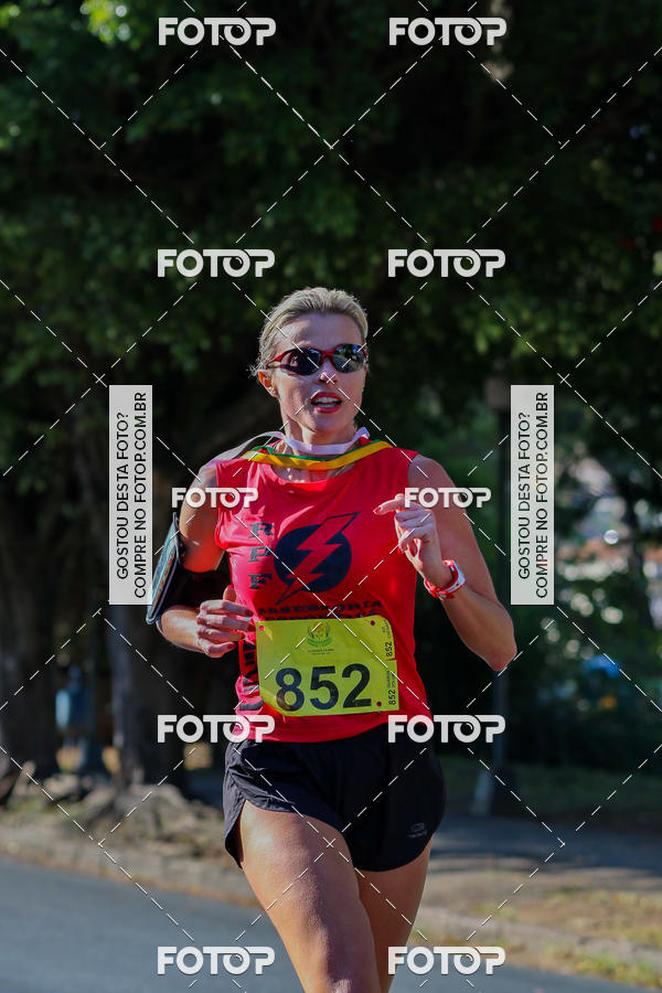 Buy your photos of the event7� Corrida APAE  - Po�os de Caldas - MG on Fotop