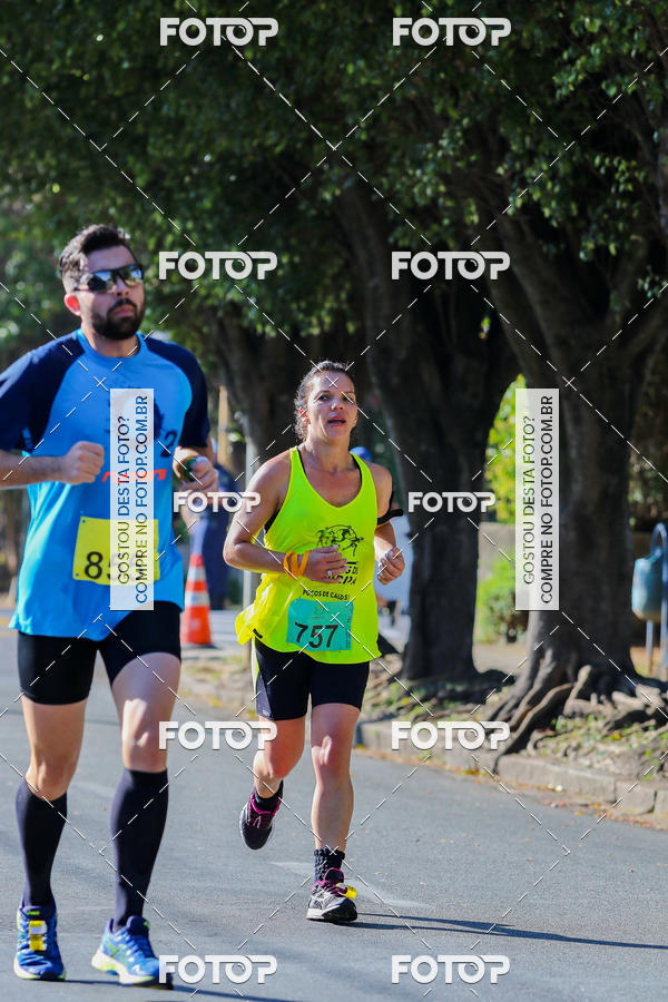 Buy your photos of the event7� Corrida APAE  - Po�os de Caldas - MG on Fotop