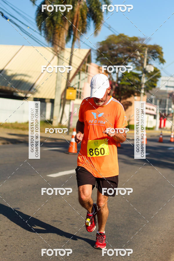 Buy your photos of the event7� Corrida APAE  - Po�os de Caldas - MG on Fotop