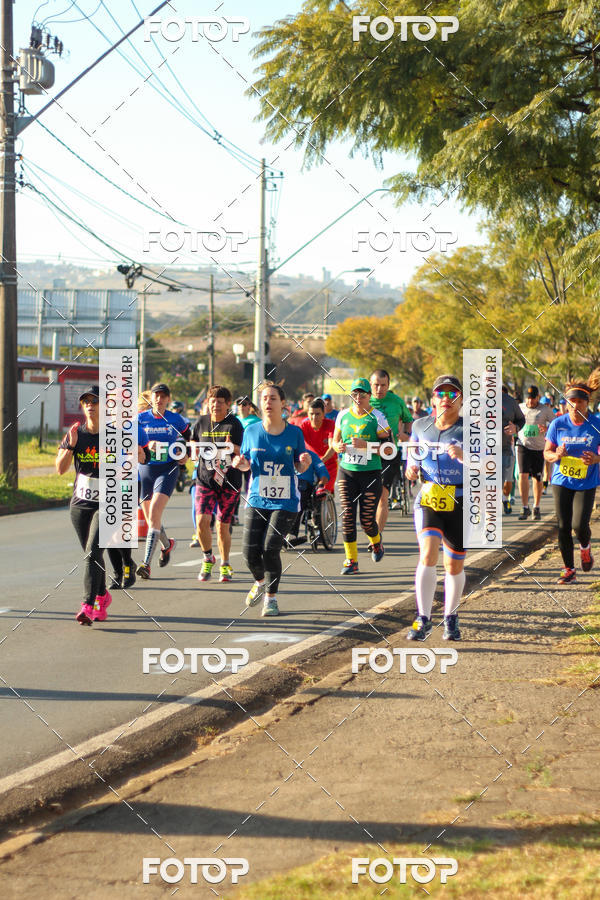 Buy your photos of the event7� Corrida APAE  - Po�os de Caldas - MG on Fotop