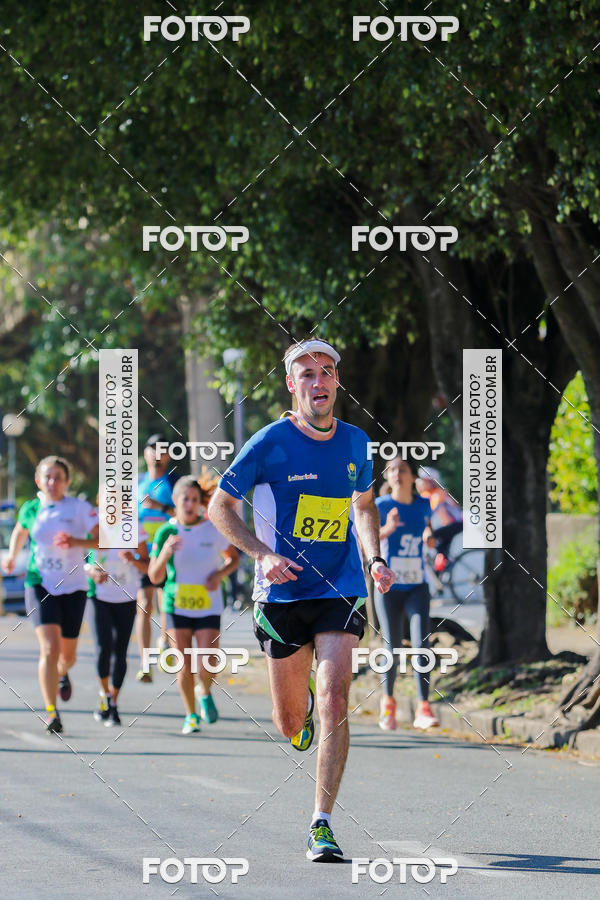 Buy your photos of the event7� Corrida APAE  - Po�os de Caldas - MG on Fotop