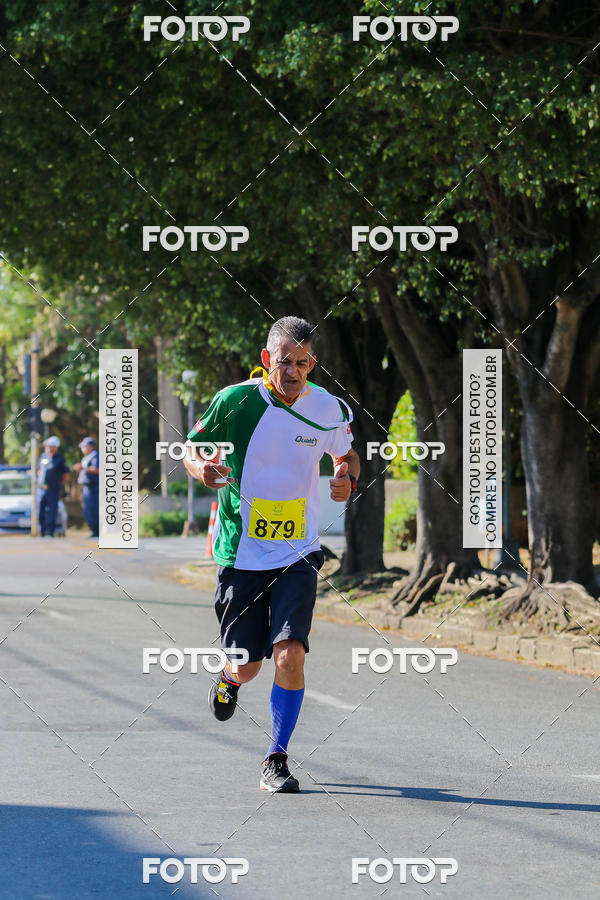 Buy your photos of the event7� Corrida APAE  - Po�os de Caldas - MG on Fotop