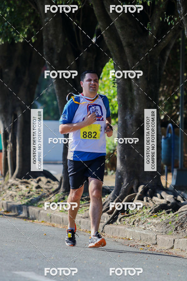 Buy your photos of the event7� Corrida APAE  - Po�os de Caldas - MG on Fotop