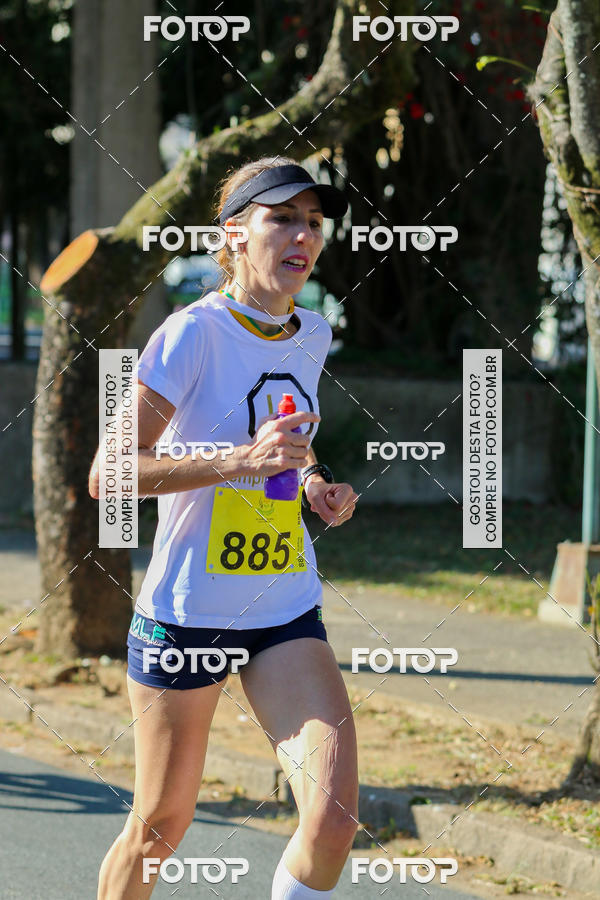 Buy your photos of the event7� Corrida APAE  - Po�os de Caldas - MG on Fotop