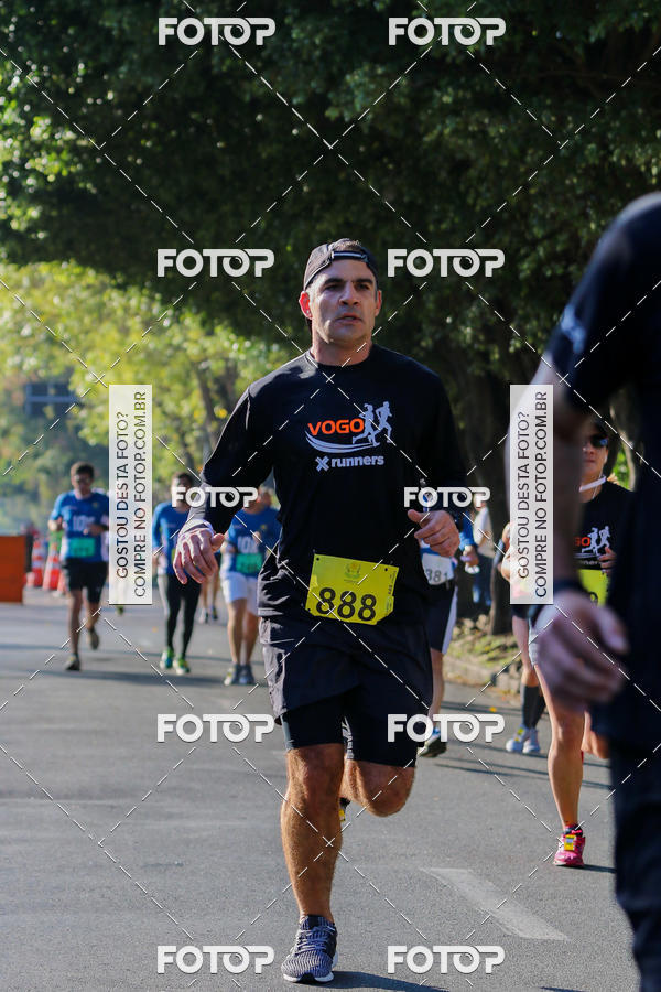Buy your photos of the event7� Corrida APAE  - Po�os de Caldas - MG on Fotop