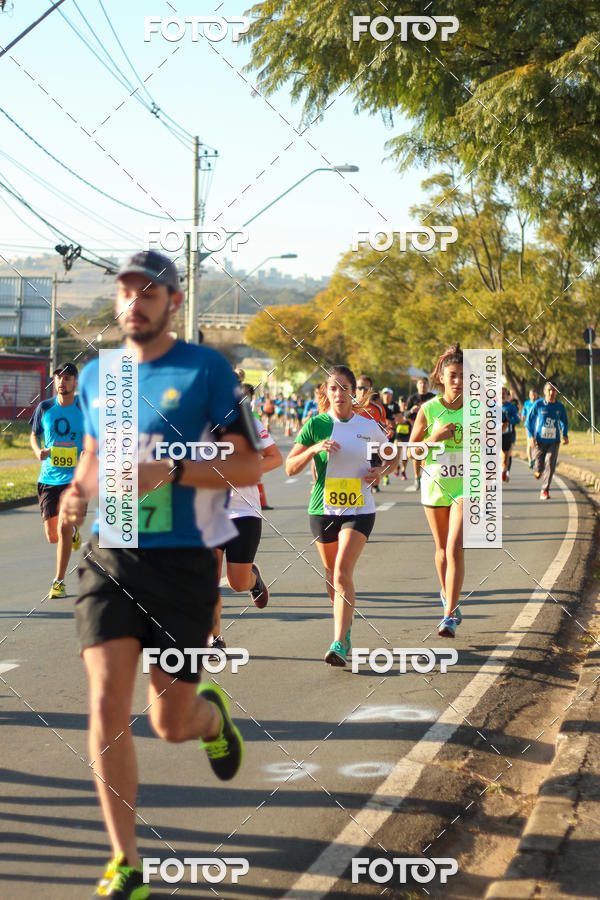 Buy your photos of the event7� Corrida APAE  - Po�os de Caldas - MG on Fotop