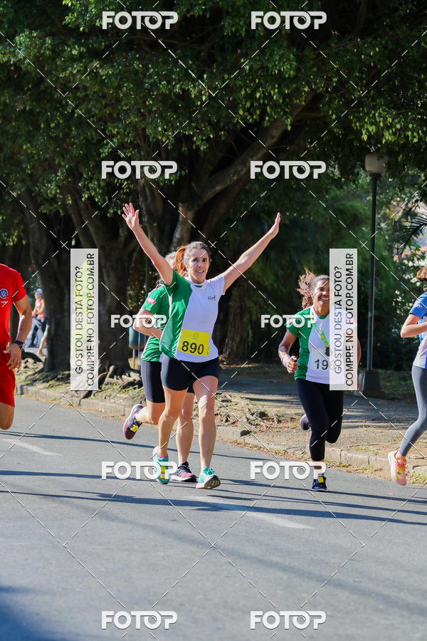 Buy your photos of the event7� Corrida APAE  - Po�os de Caldas - MG on Fotop