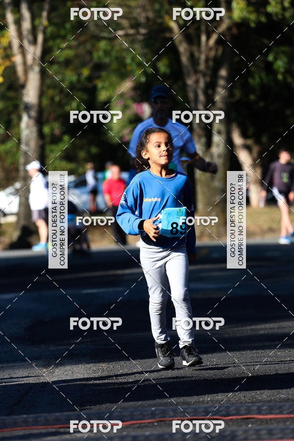 Buy your photos of the event7� Corrida APAE  - Po�os de Caldas - MG on Fotop