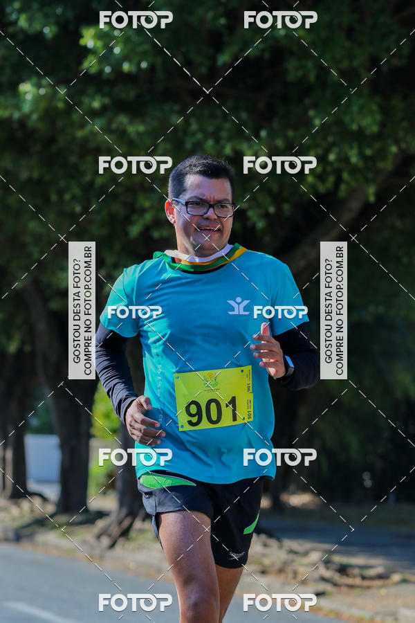 Buy your photos of the event7� Corrida APAE  - Po�os de Caldas - MG on Fotop