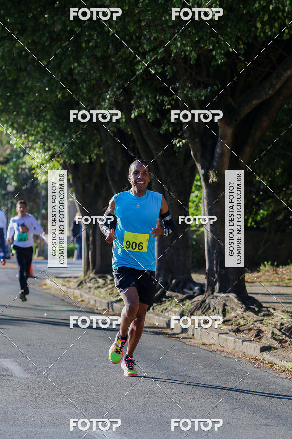 Buy your photos of the event7� Corrida APAE  - Po�os de Caldas - MG on Fotop