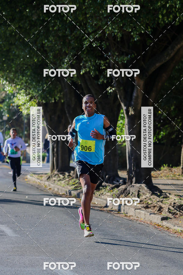 Buy your photos of the event7� Corrida APAE  - Po�os de Caldas - MG on Fotop
