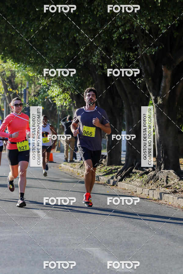 Buy your photos of the event7� Corrida APAE  - Po�os de Caldas - MG on Fotop
